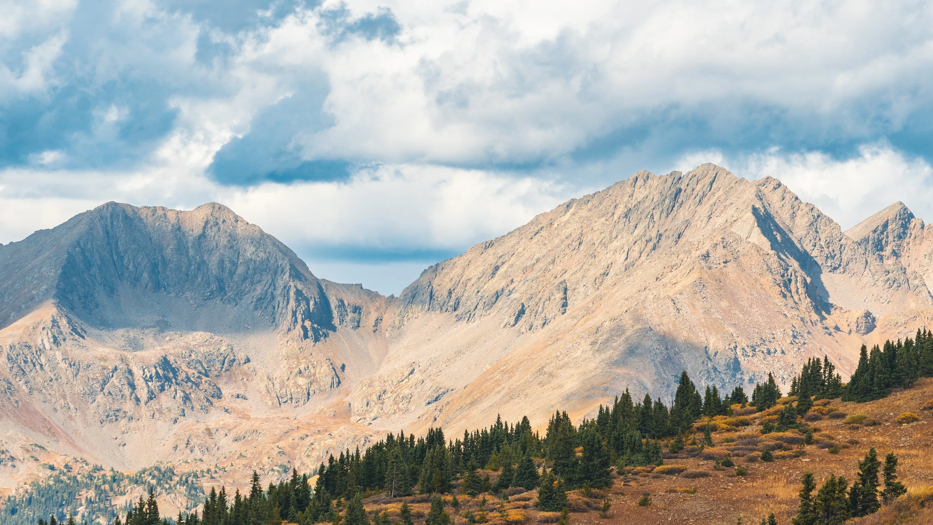 Conly J Schulte Peebles Kidder