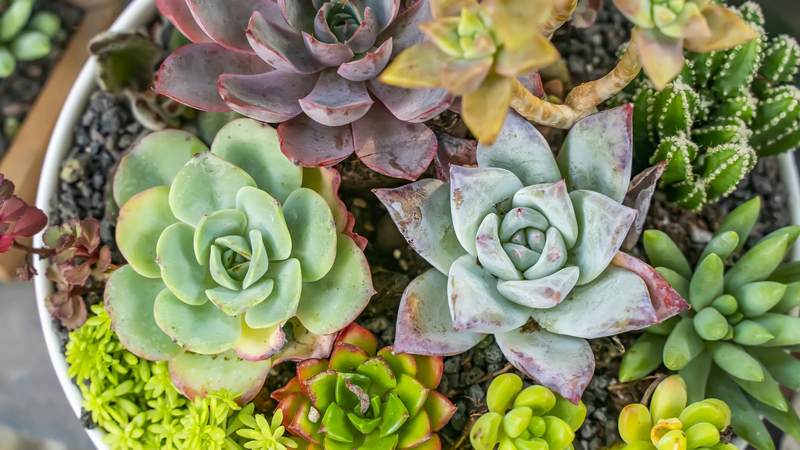 Landscape Design & Installation | Garden Supplies | Armstrong Garden ...