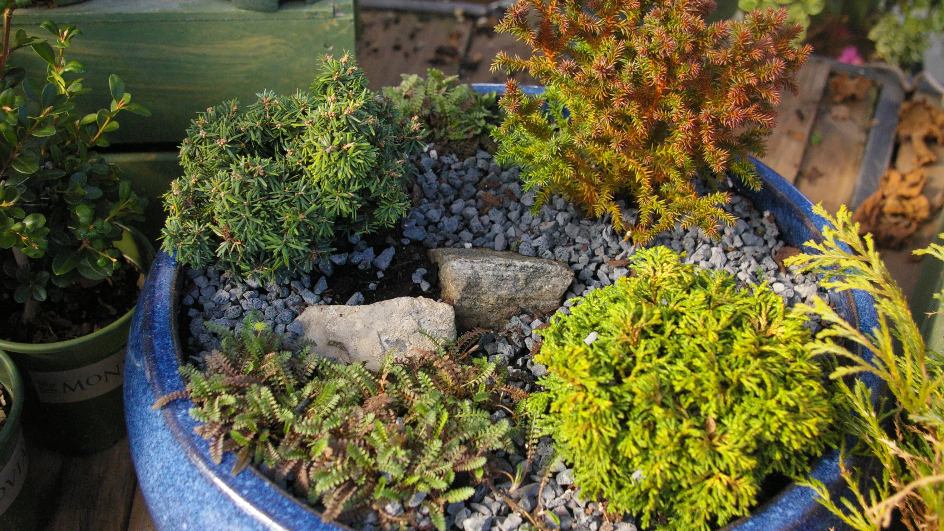 Garden & Plant Nursery Landscape Design & Installation Pike Nurseries