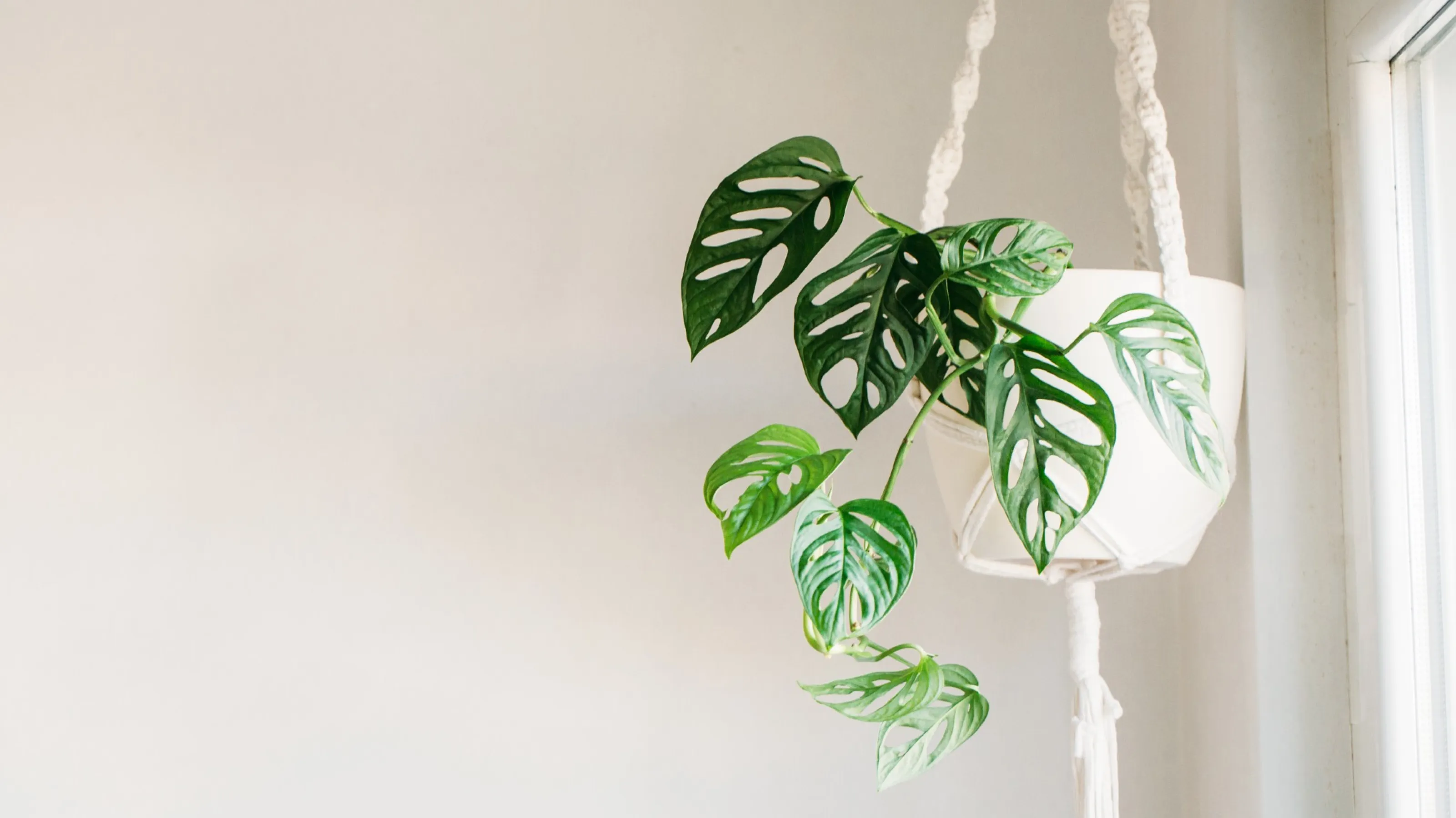 Garden & Plant Nursery Landscape Design & Installation Page 10