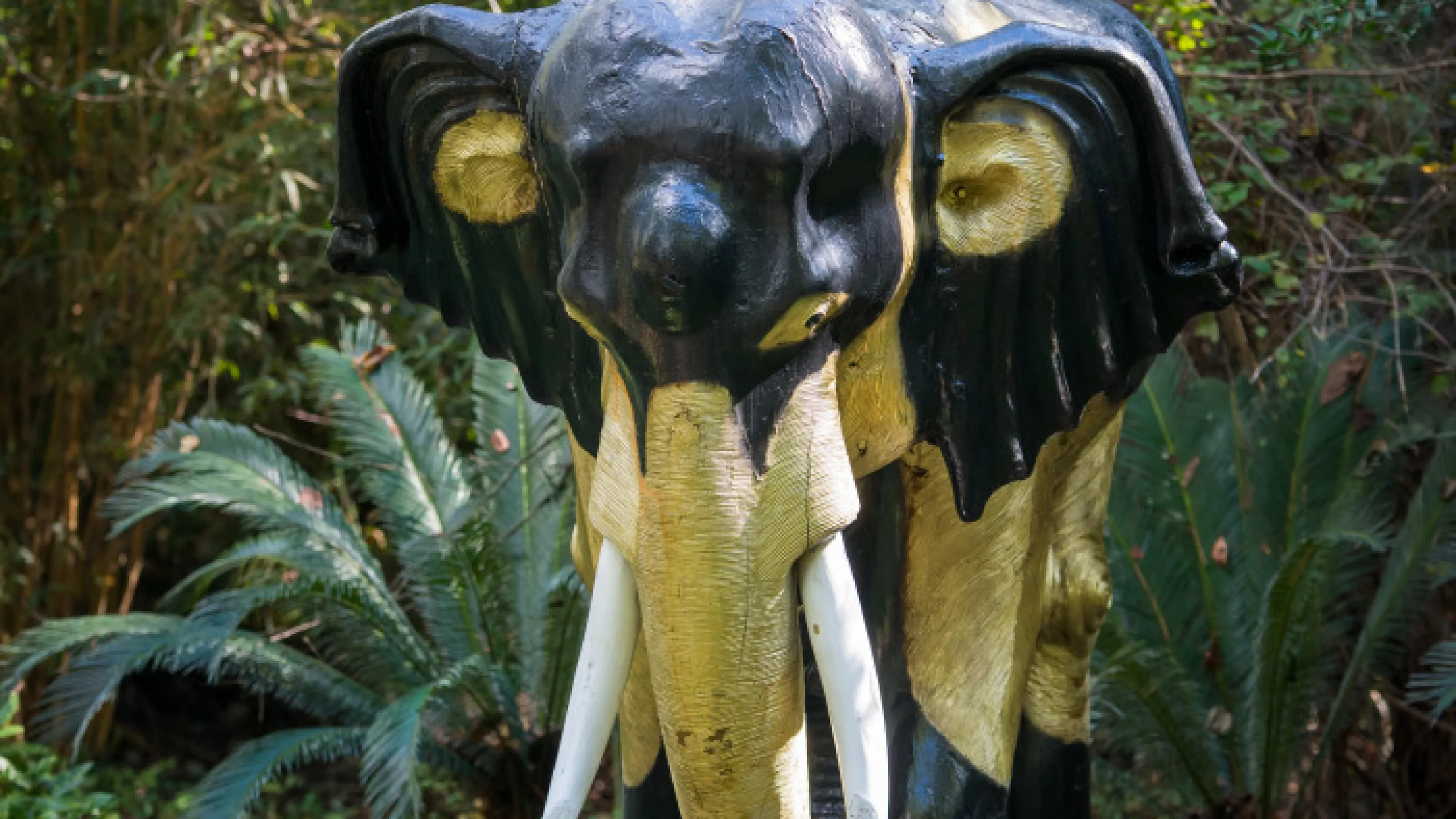 Texas Renaissance Festival Tickets - ocwr5mf