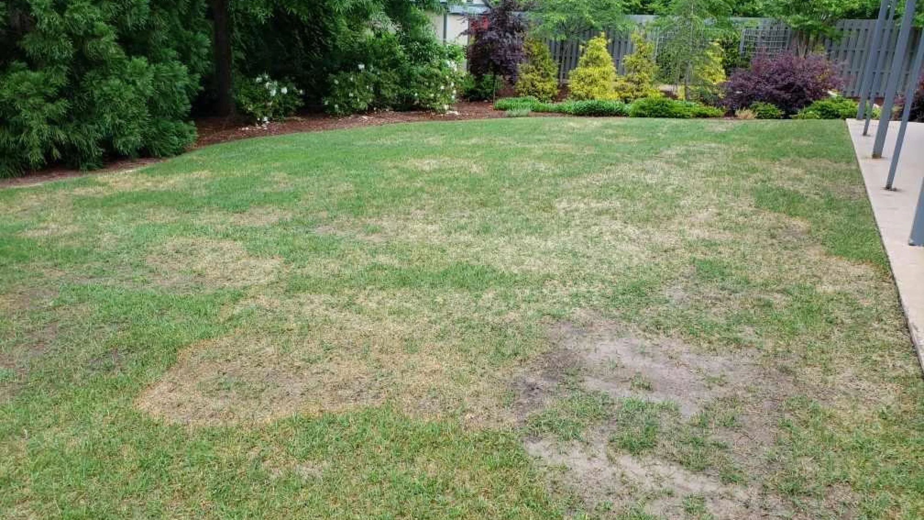 Resource Library Turf Masters Lawn Care Turf Masters Lawn Care