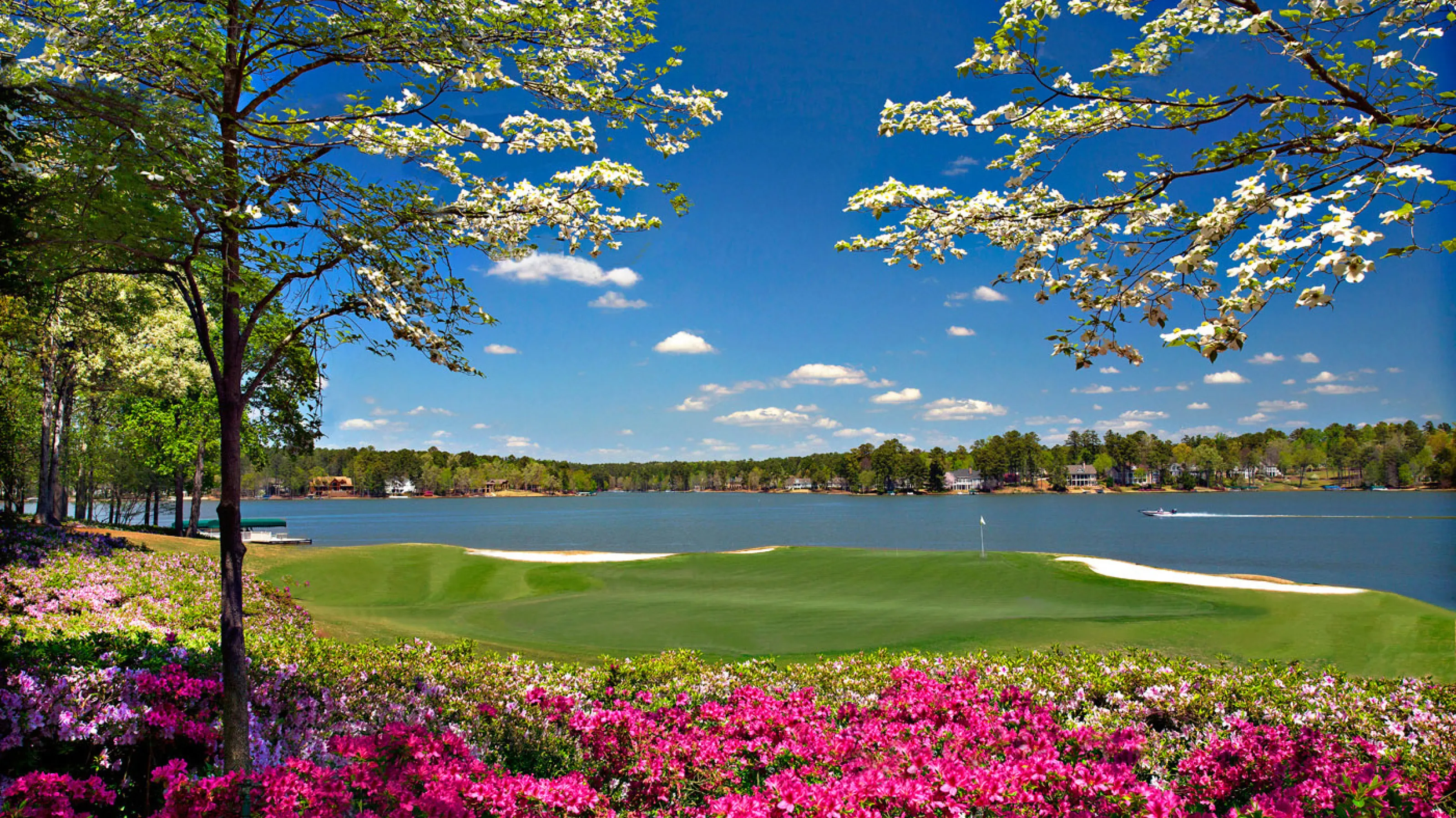 Greensboro, GA Turf Masters Lawn Care