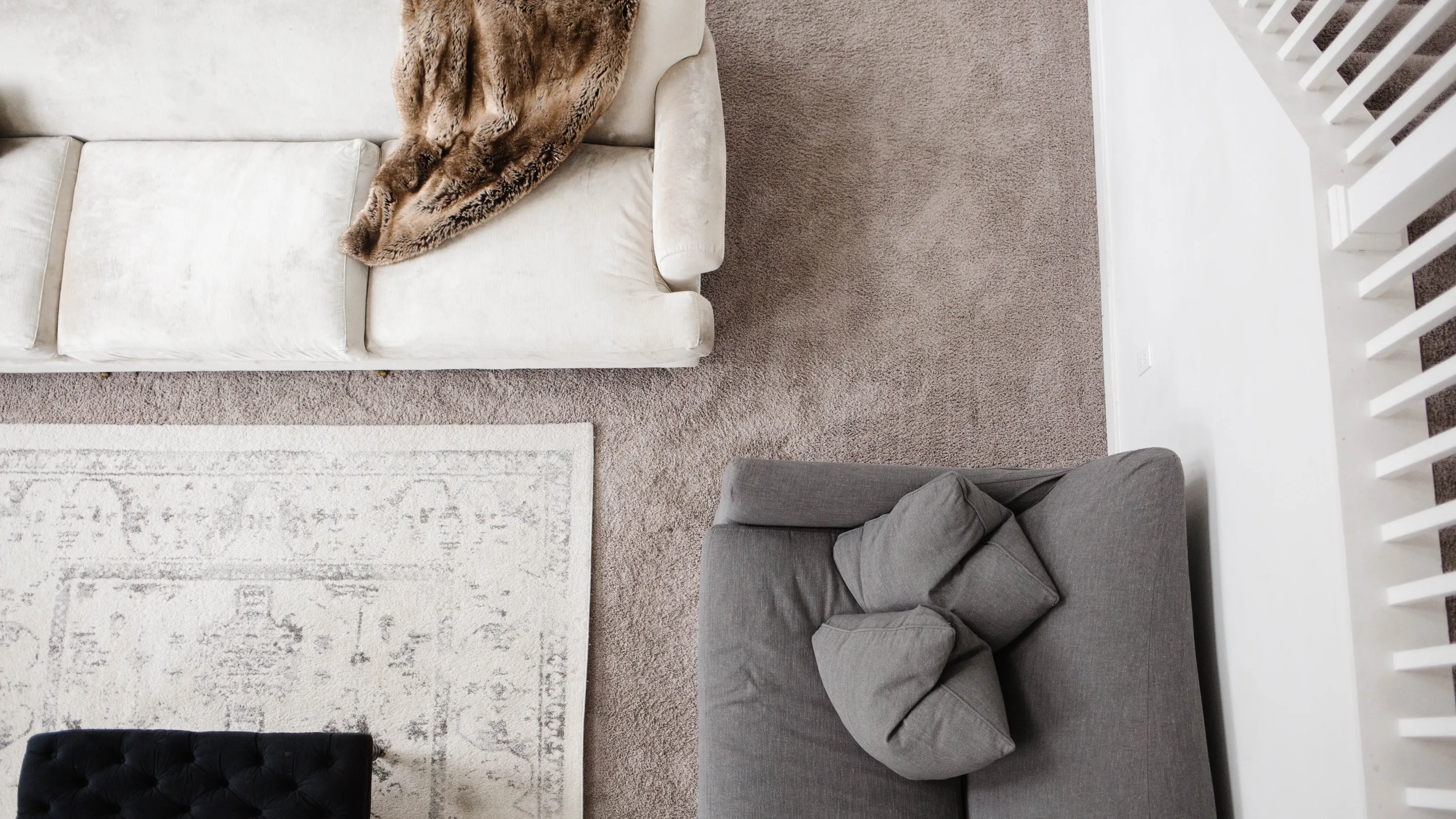 Frequently Asked Questions Zerorez Tampa Bay