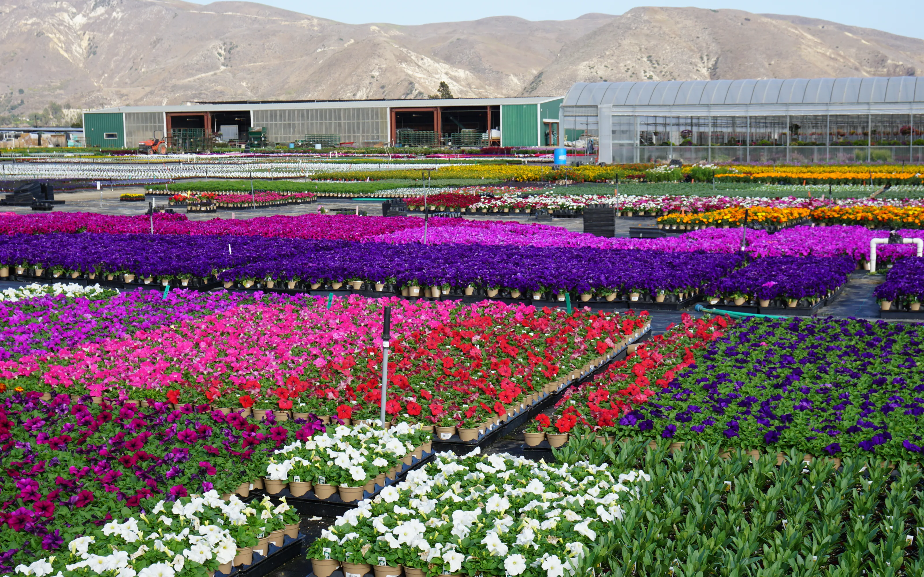 Open Positions Armstrong Garden Centers