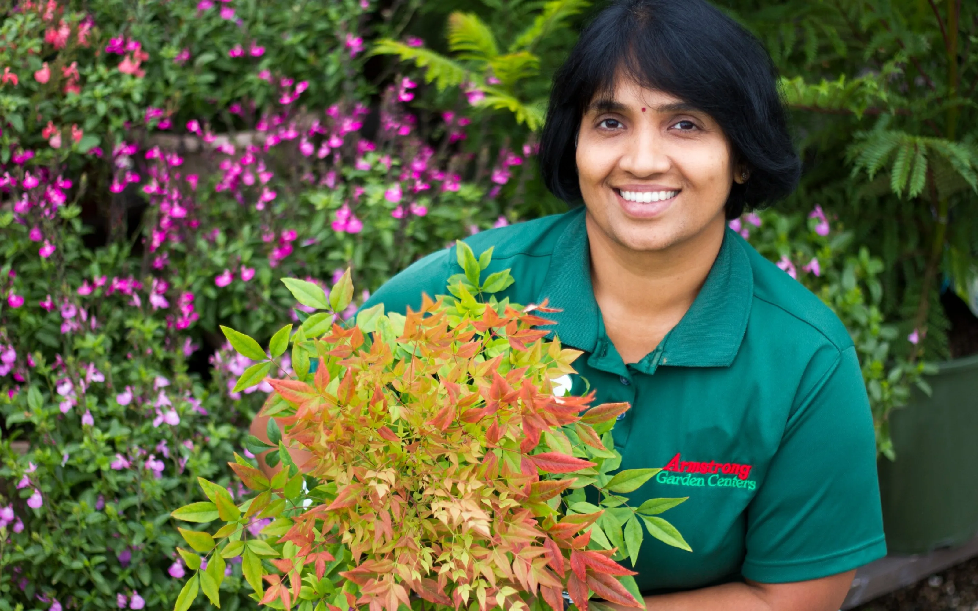 Careers Armstrong Garden Centers