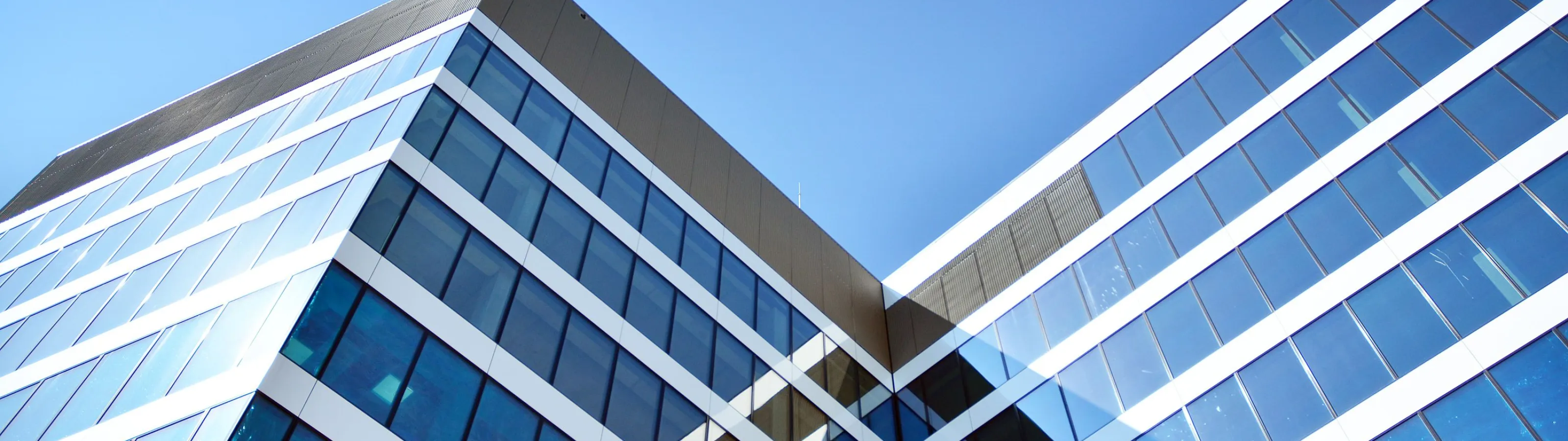 Commercial Services Zerorez Cincinnati