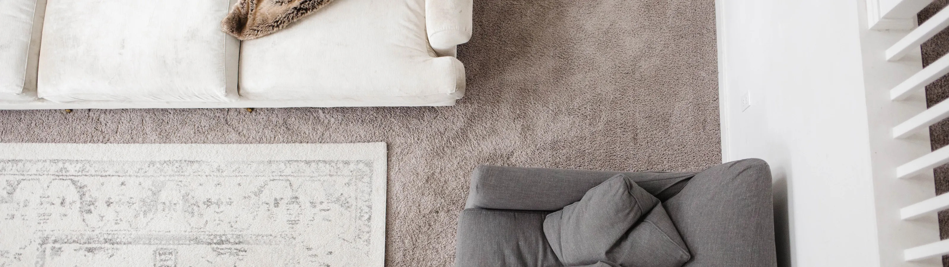 Frequently Asked Questions Zerorez Carpet Cleaning Columbia SC