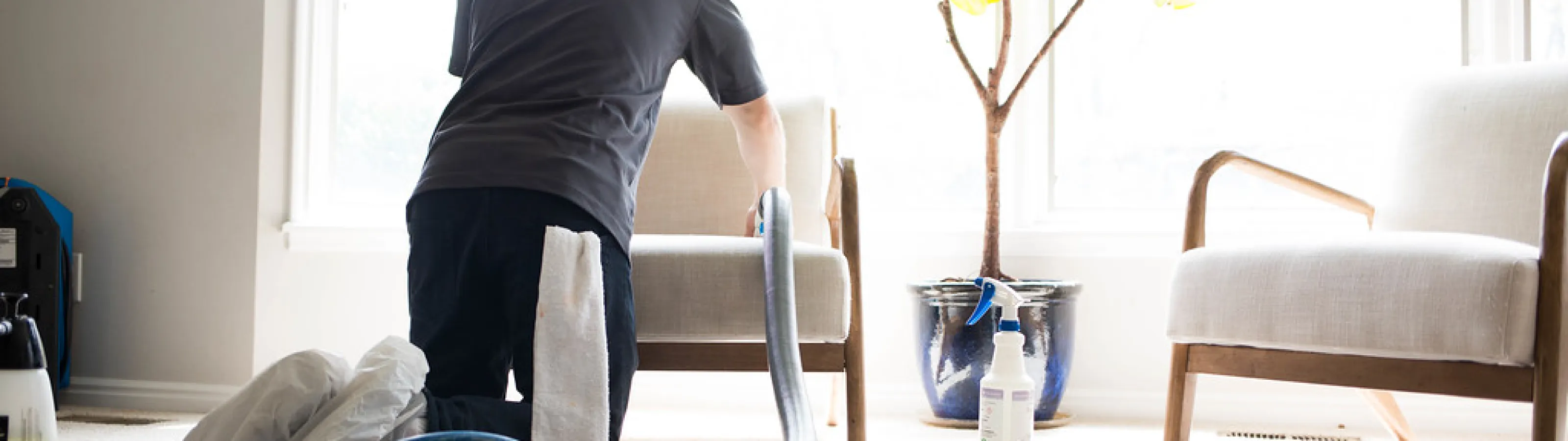 upholstery cleaning Zerorez Idaho