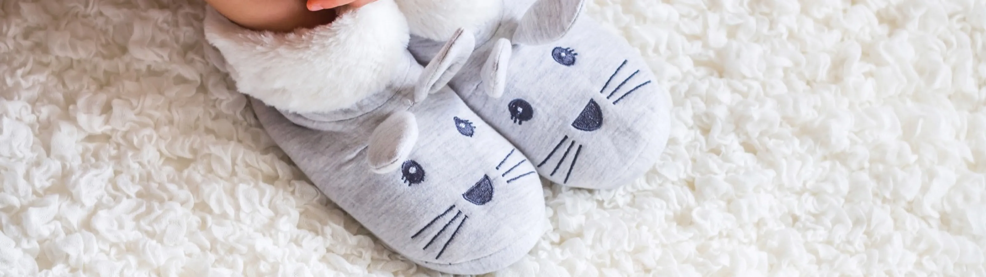 The Zerorez Difference® Zerorez Tampa Bay