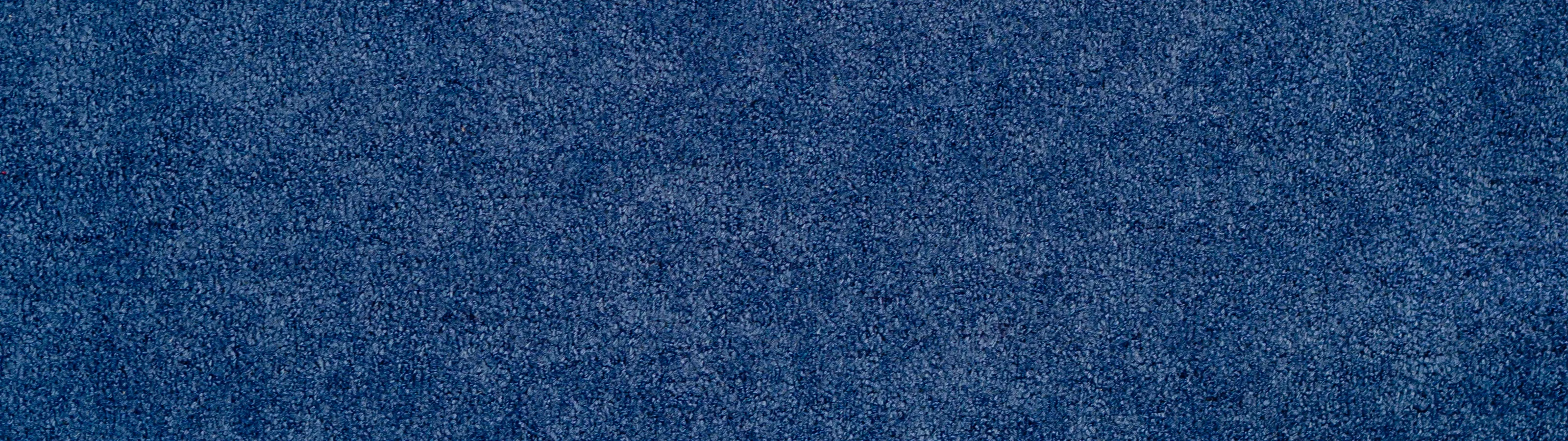 Carpet Cleaning Zerorez Knoxville