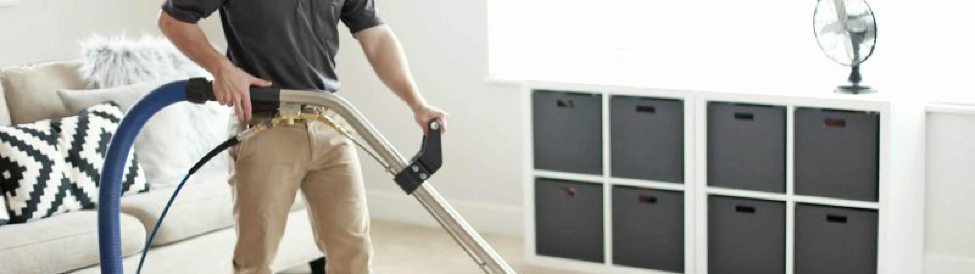 Carpet Cleaning Sarasota, FL Zerorez Tampa Bay