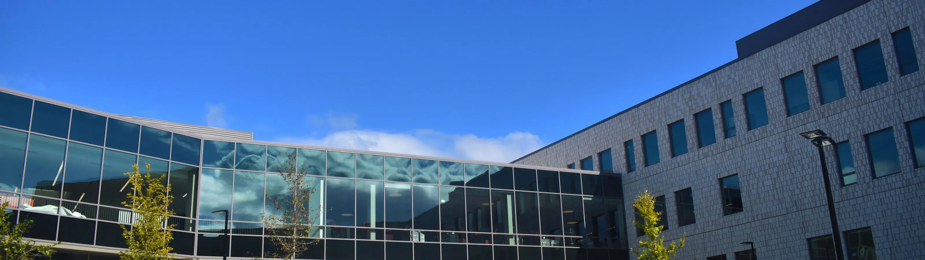 Commercial Air Duct Zerorez Carpet Cleaning Atlanta