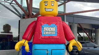 Bricks and Minifigs
