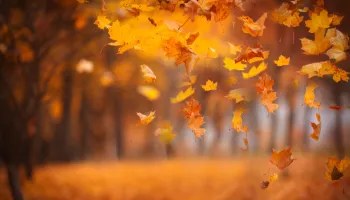 Image for A Great Question to Ask Ourselves