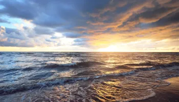 Image for Crazy Good Highlights from 2021