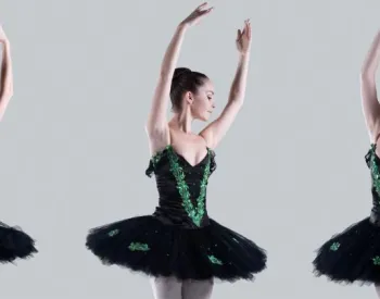 Preview image for The Dancer Athlete and Orthopaedic Injury