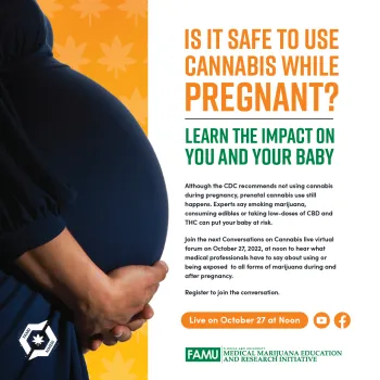 Image for Is it safe to use cannabis while pregnant?
