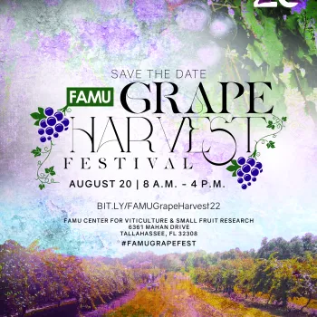 Image for Grape Harvest Festival - Florida A&M University