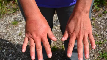 a close-up of hands