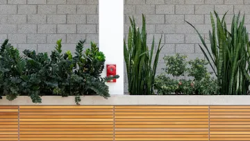 a group of plants on a window sill