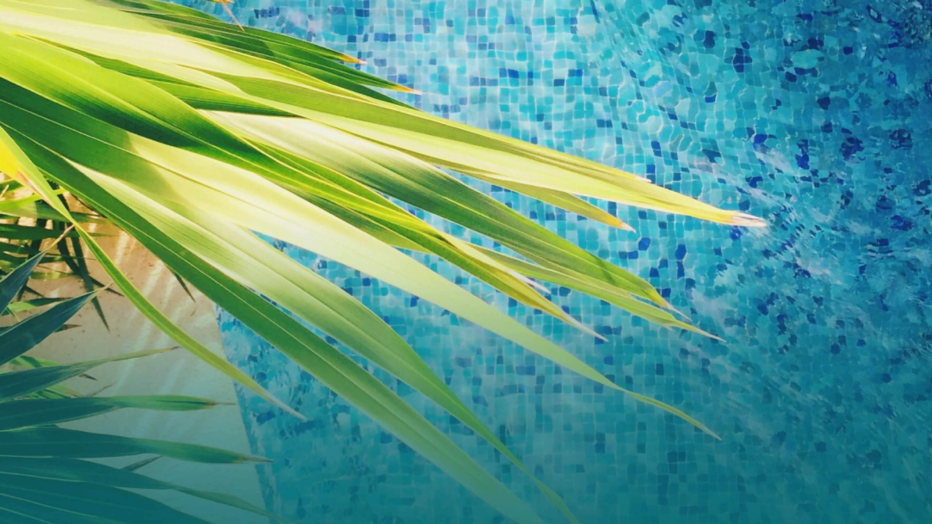 Pool Service Phoenix AZ Glass Pool Company pool-service-phoenix-az-glass-pool-company