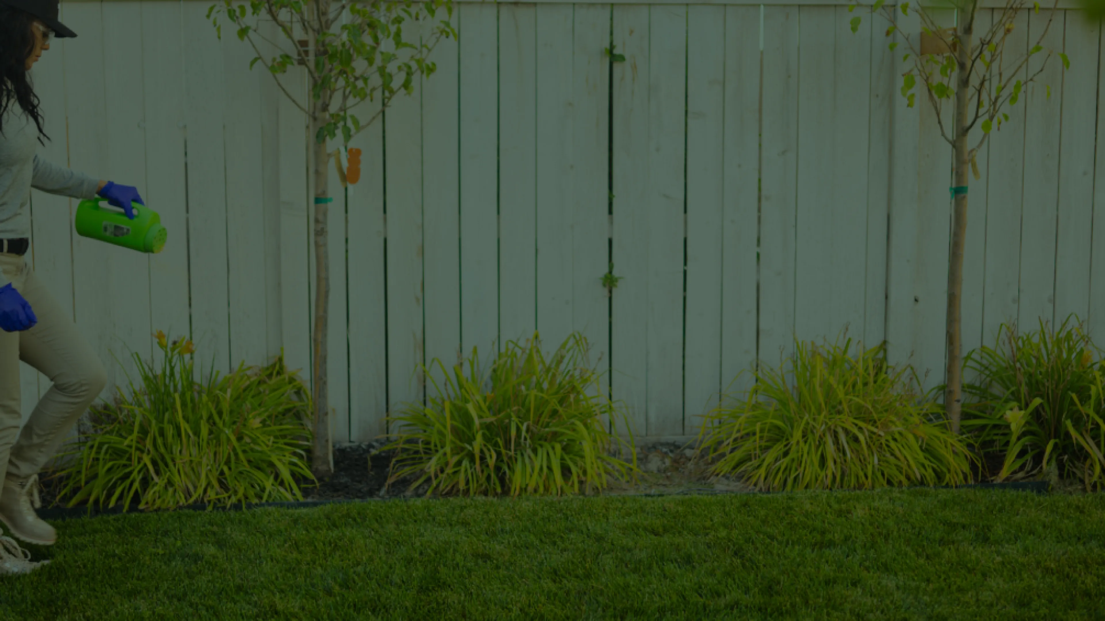 Pest Control Lancaster | Greenix Pest Control