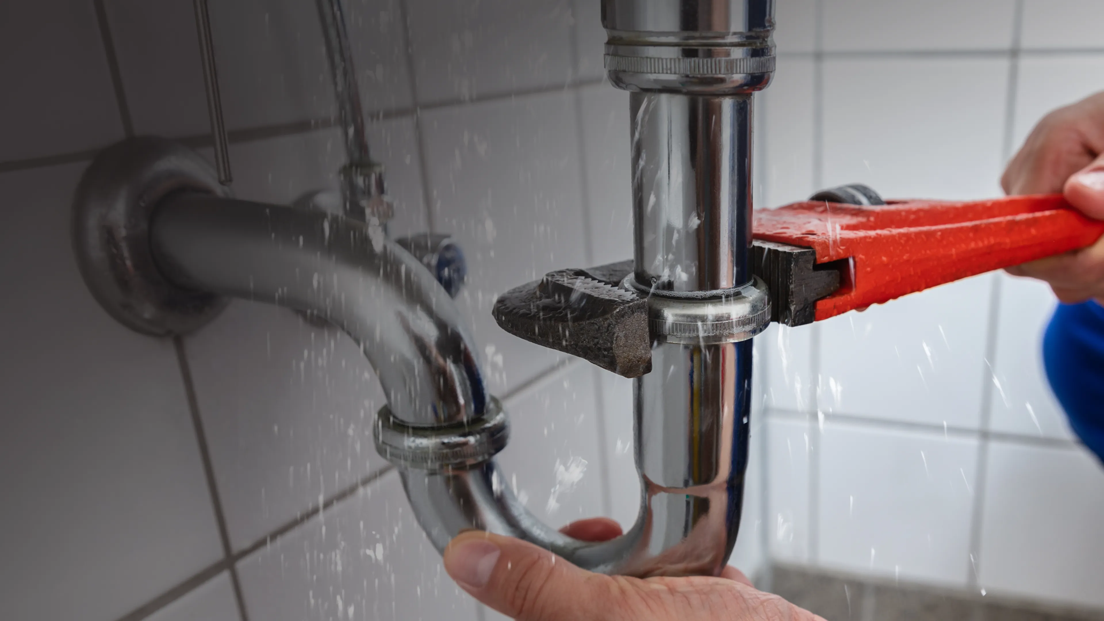 Plumbing Leak Detection & Repair | Pando Plumbing