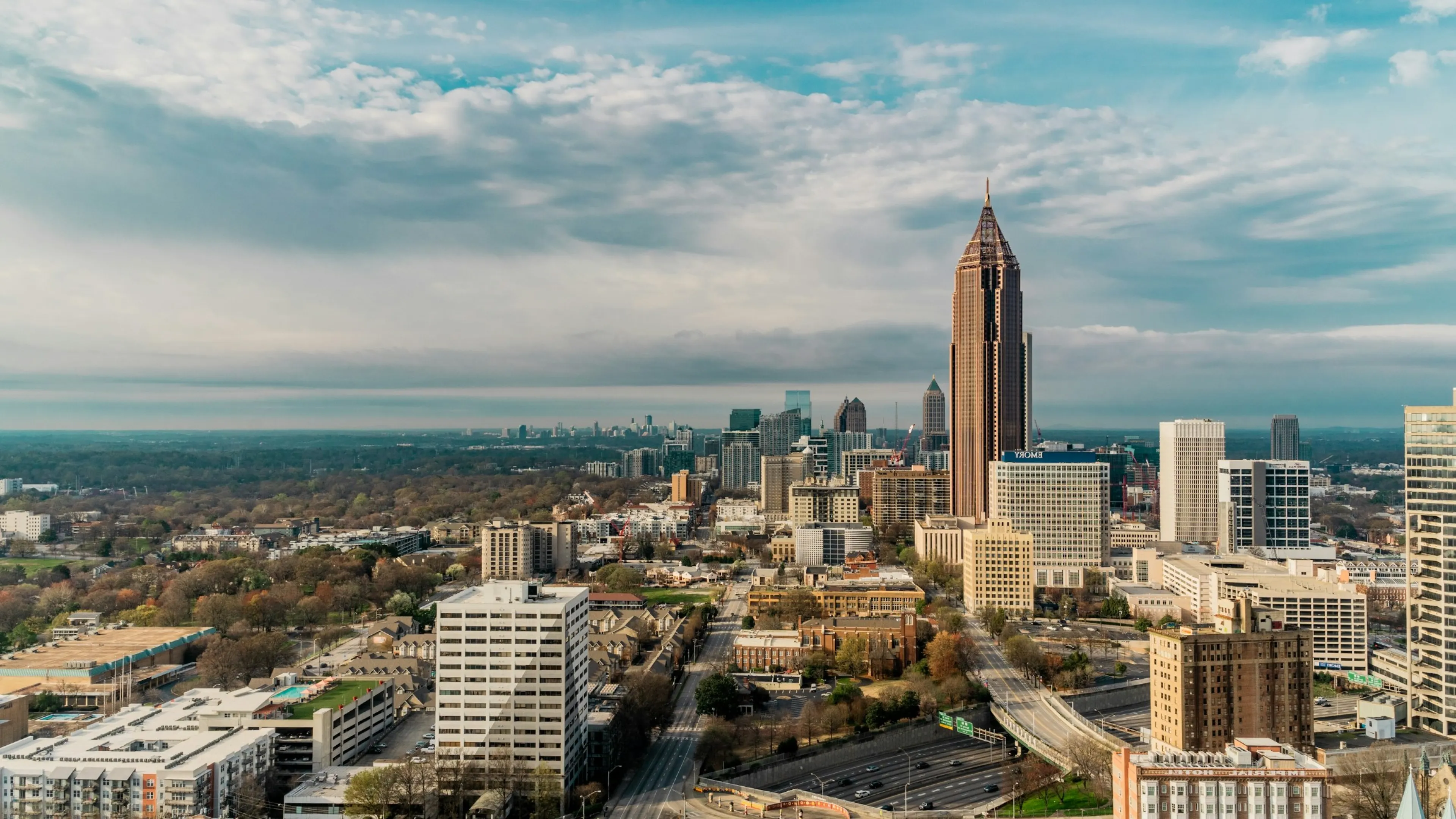 Pest Control & Exterminator Atlanta, GA | RIDD Pest Control