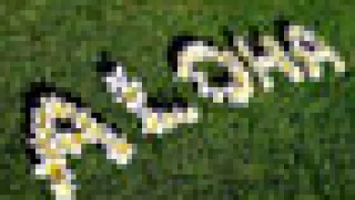 VMC Joint Center Patient Reunion