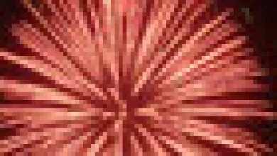 Be Dazzled by Fireworks, Not Dazed by Injury