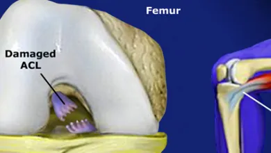 New Patient Education Videos!