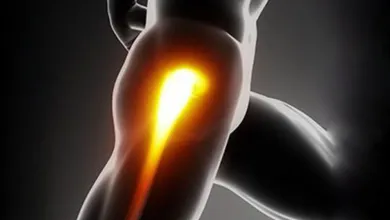 Glowing pain area highlighted on the back of a human thigh in a dark anatomical illustration.