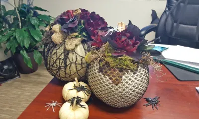 fall decorations for office