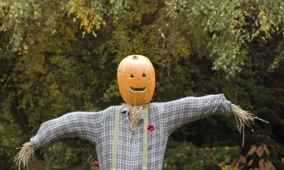 scarecrow with pumpkin head