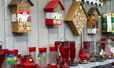 a group of items on a table