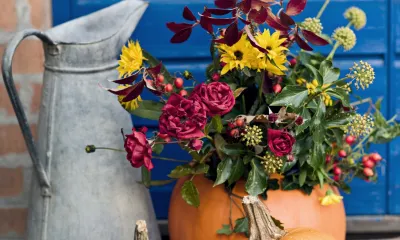 a vase of flowers on a table