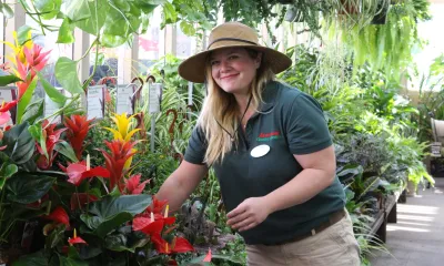 a person standing in front of a flower
