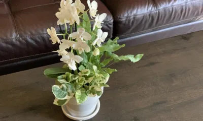 a living room filled with furniture and vase of flowers on a table