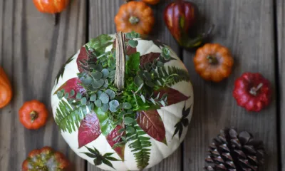 a white pumpkin decorated with decoupaged natural leaves
