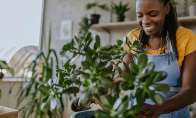 a woman standing in front of a green plant