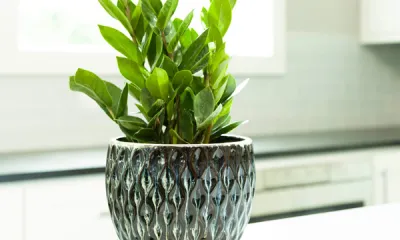 a vase filled with flowers sitting on a table
