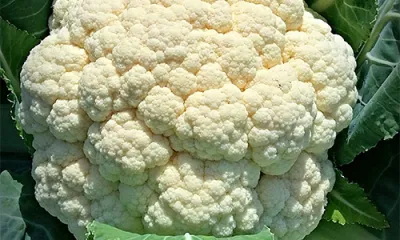 a close up of cauliflower