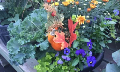 a container garden accented with a small orange gourd
