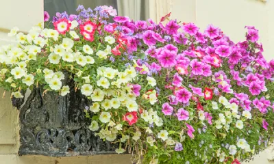 a vase of flowers sits in front of a building