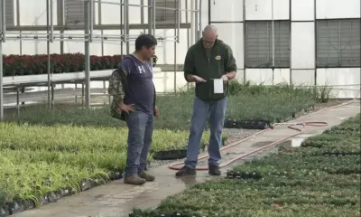 a couple of men standing in a greenhouse surrounded by plants
