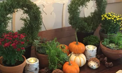 a table setting with miniature pumpkins and fresh herbs