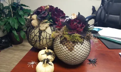 decorated pumpkins on a desk in an office
