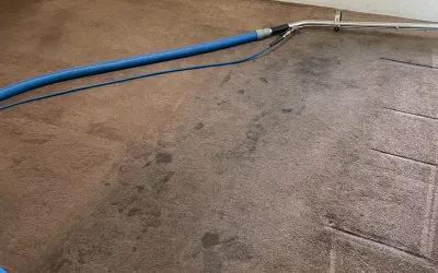 a dirty carpet