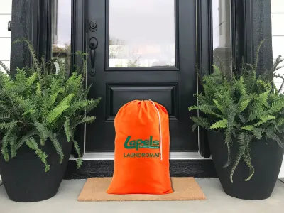 Bright orange Lapels Laundromat bag on doormat outside black front door with two large potted ferns on porch.